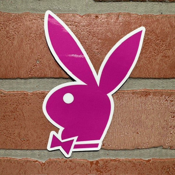 Playboy 13 inch 2024 pink bunny mirror