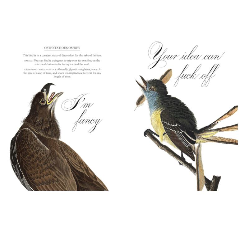 Book - Effin' Birds - A Field Guide To Identification-hotRAGS.com