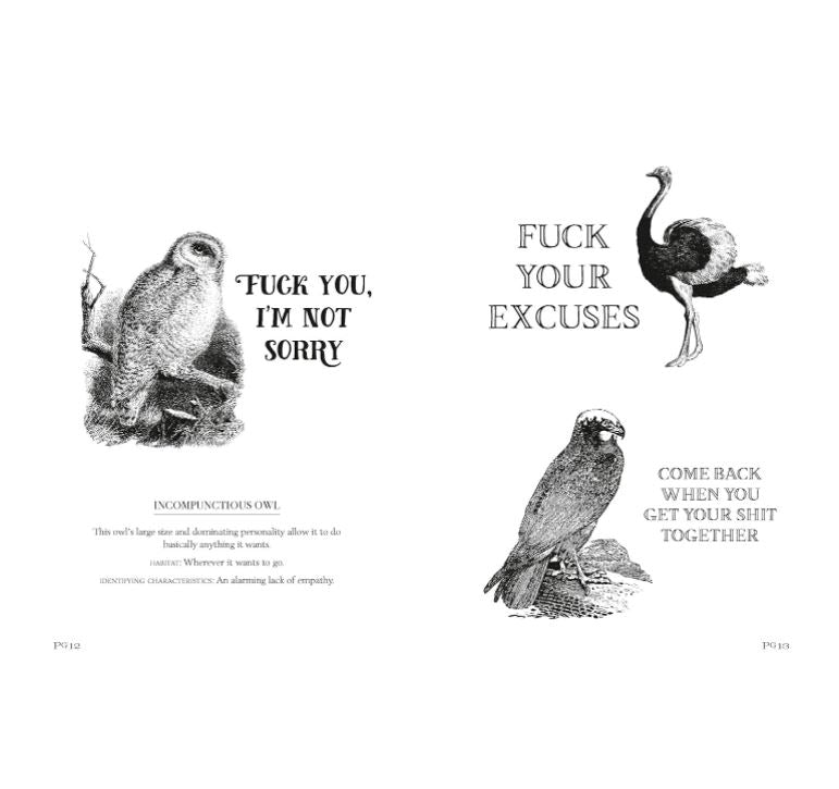 Book - Effin' Birds - A Field Guide To Identification-hotRAGS.com