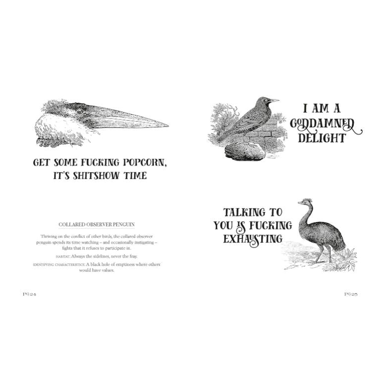 Book - Effin' Birds - A Field Guide To Identification-hotRAGS.com