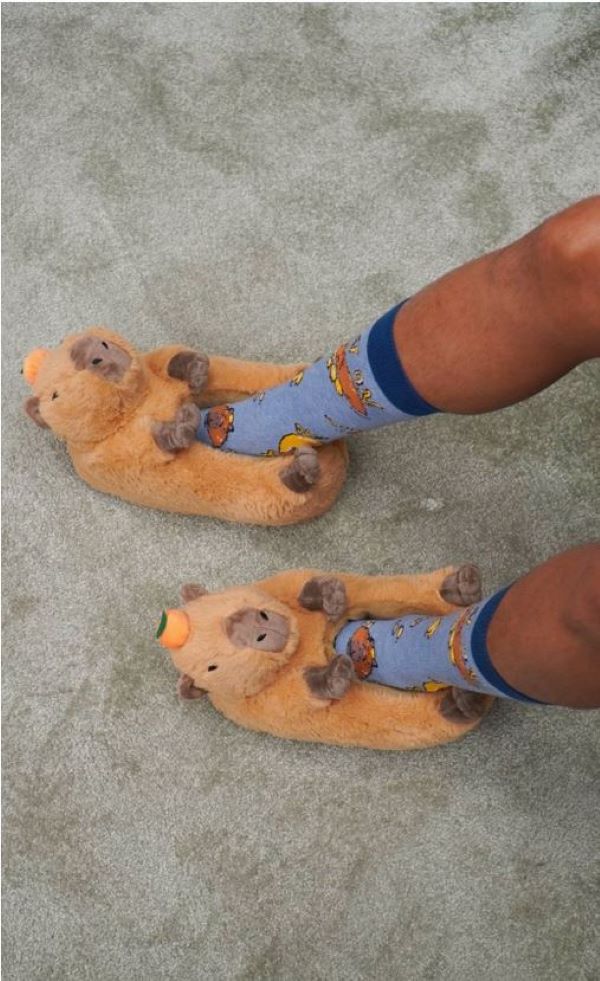 Slippers - Capybara-hotRAGS.com