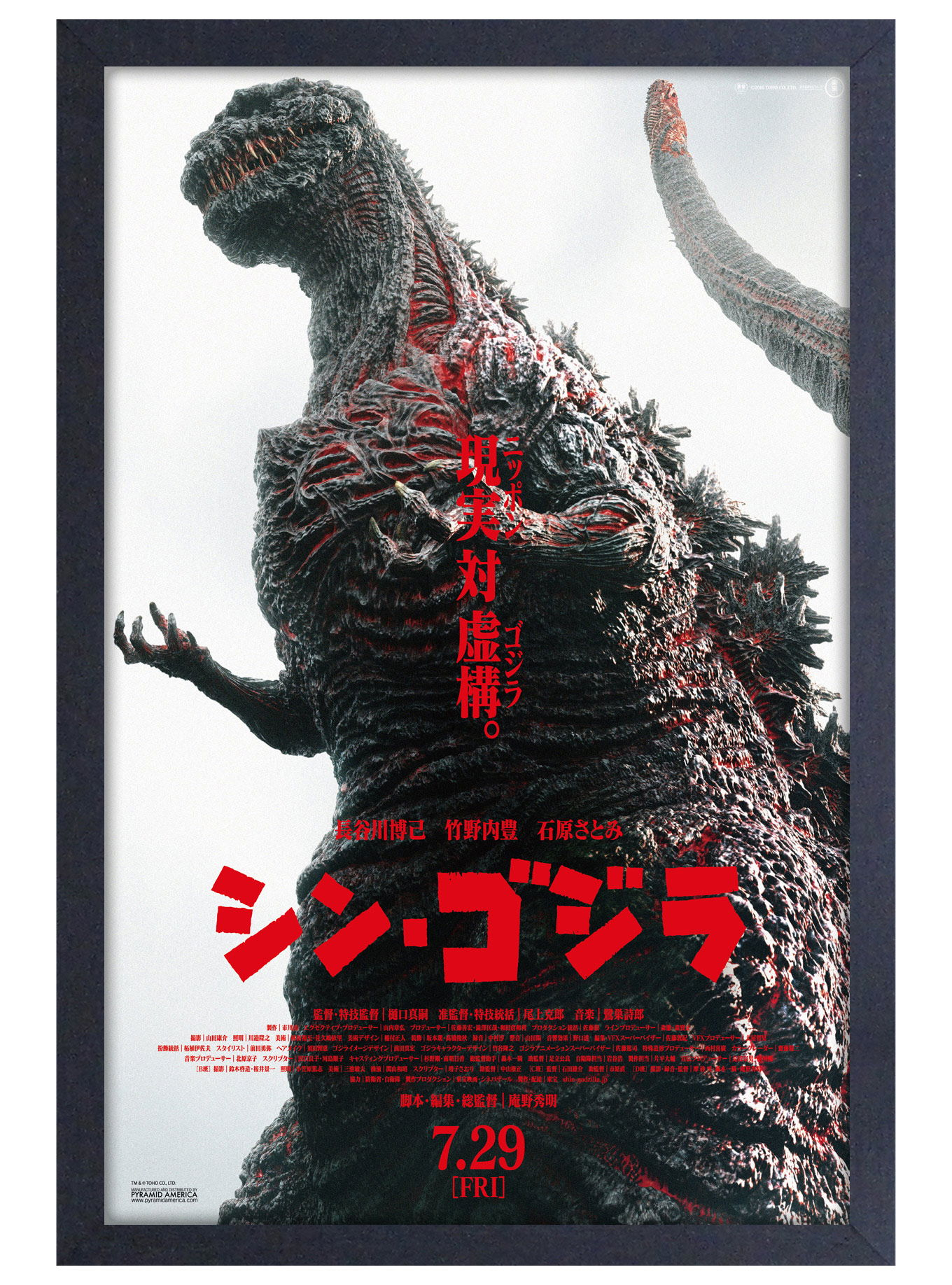 Picture - Framed Godzilla-hotRAGS.com