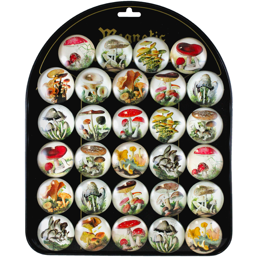 Magnets - Vintage Mushrooms-hotRAGS.com