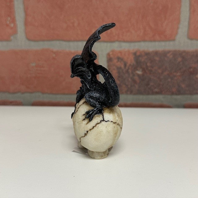 Statue - Skull With Black Dragons - Small-hotRAGS.com