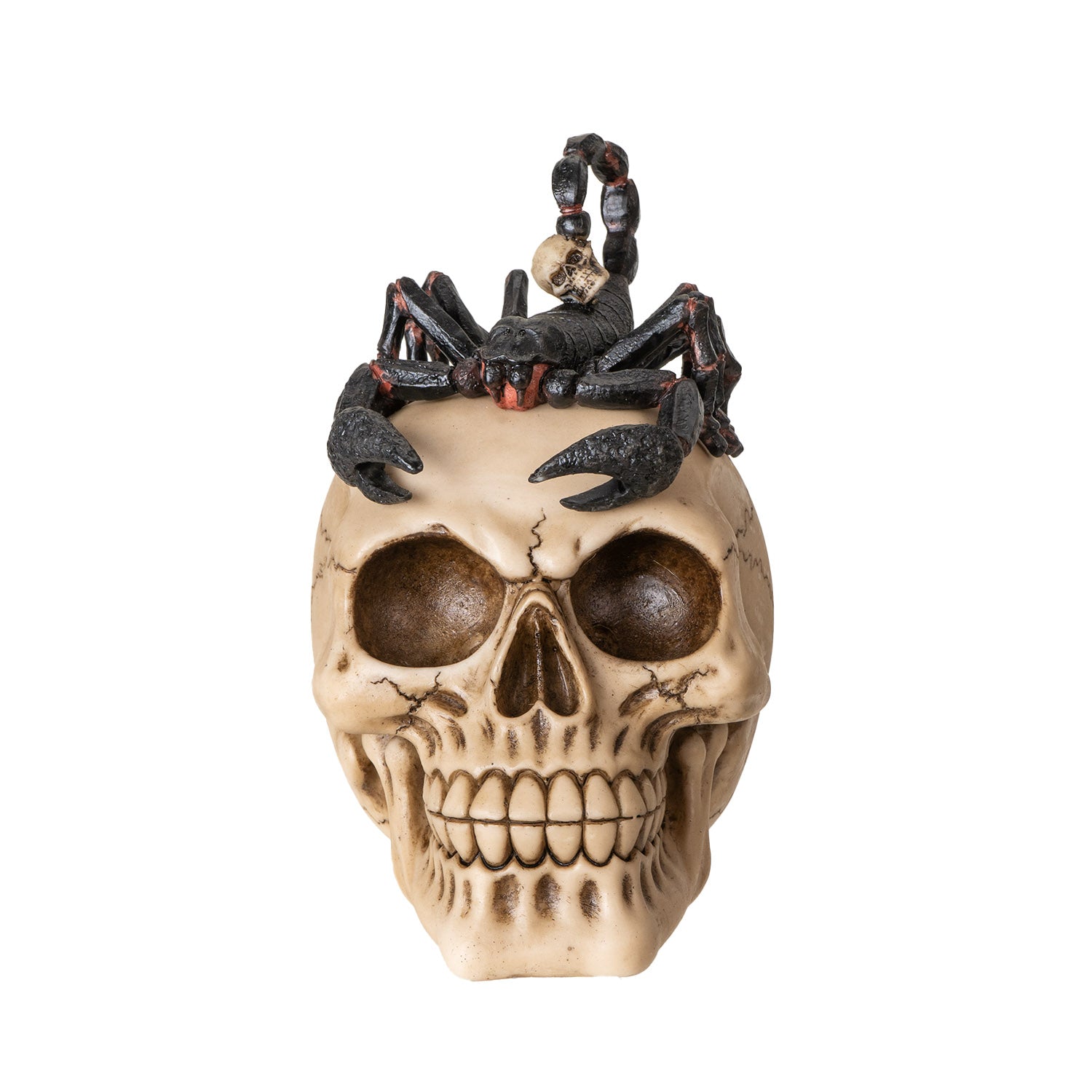 Skull - Scorpion-hotRAGS.com