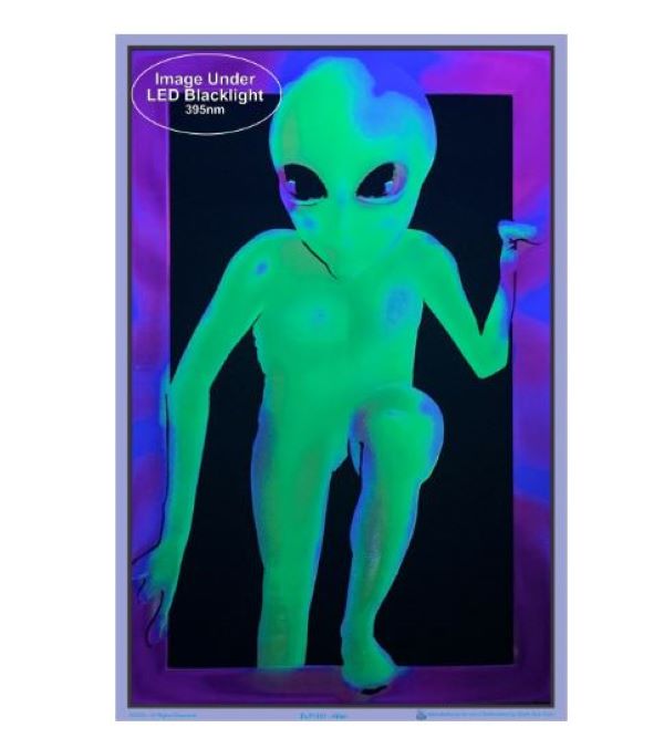 Poster - Blacklight Alien-hotRAGS.com