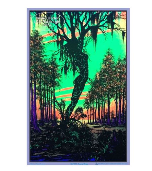 Poster - Blacklight Swamp-hotRAGS.com