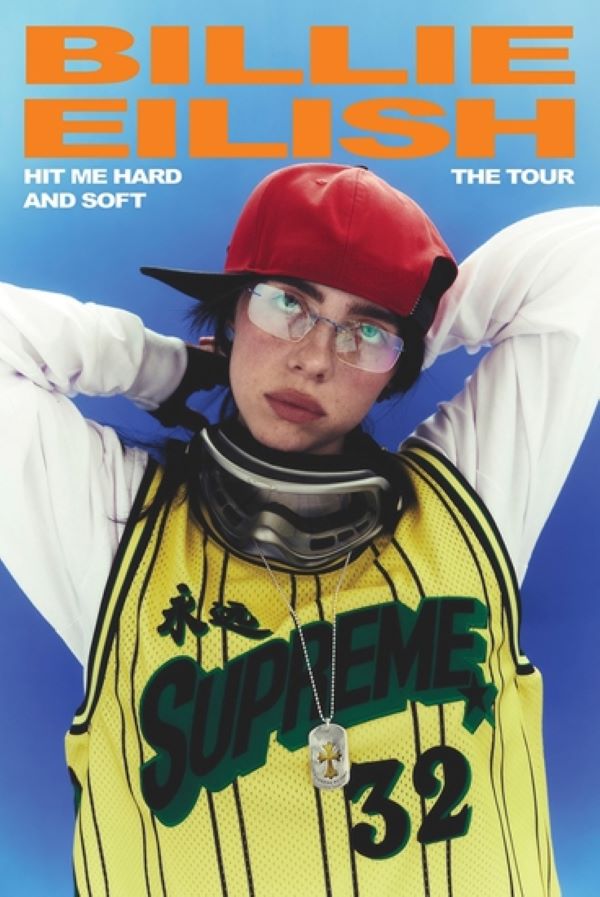 Poster - Billie Eilish Hit Me-hotRAGS.com