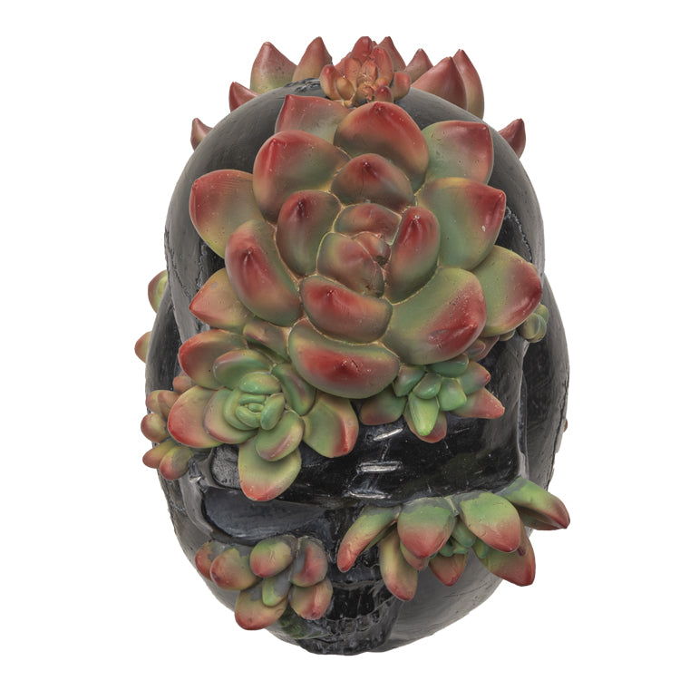 Skull With Succulents-hotRAGS.com